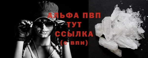 дживик Абаза