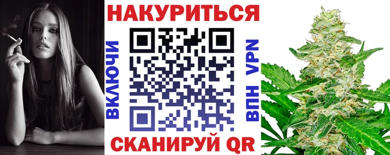 Конопля гибрид  Плавск 